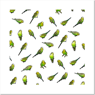 Funny Green and Yellow Budgie Budgerigar Parrot Bird Pattern Posters and Art